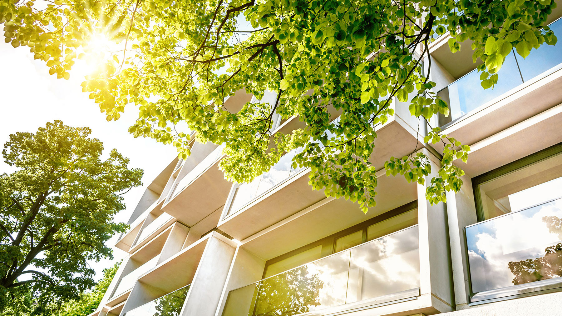 Flats at MetroWest Condo cover